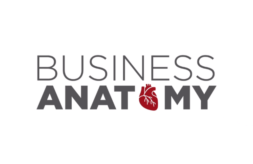 Business Anatomy