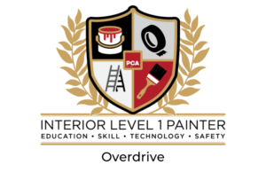 Painter Training on Overdrive