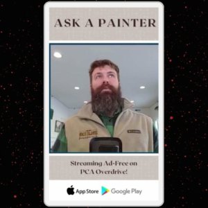 Ask A Painter Link In BIo