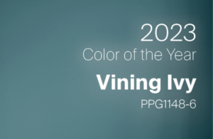 PPG COLOR OF THE YEAR Thumbnail
