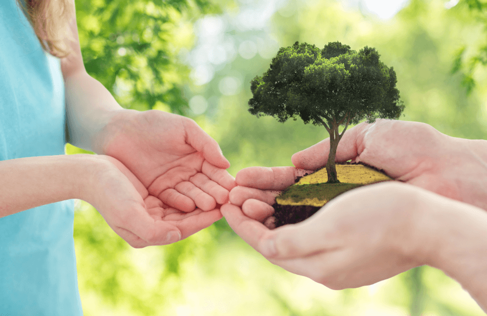 Preserving Your Business Legacy Preserving Your Business Legacy